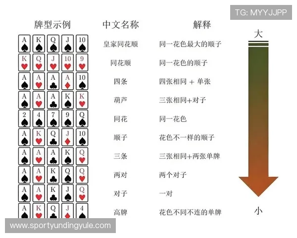 掌握扑克牌三公游戏的详细规则与常见玩法策略提升你的获胜几率
